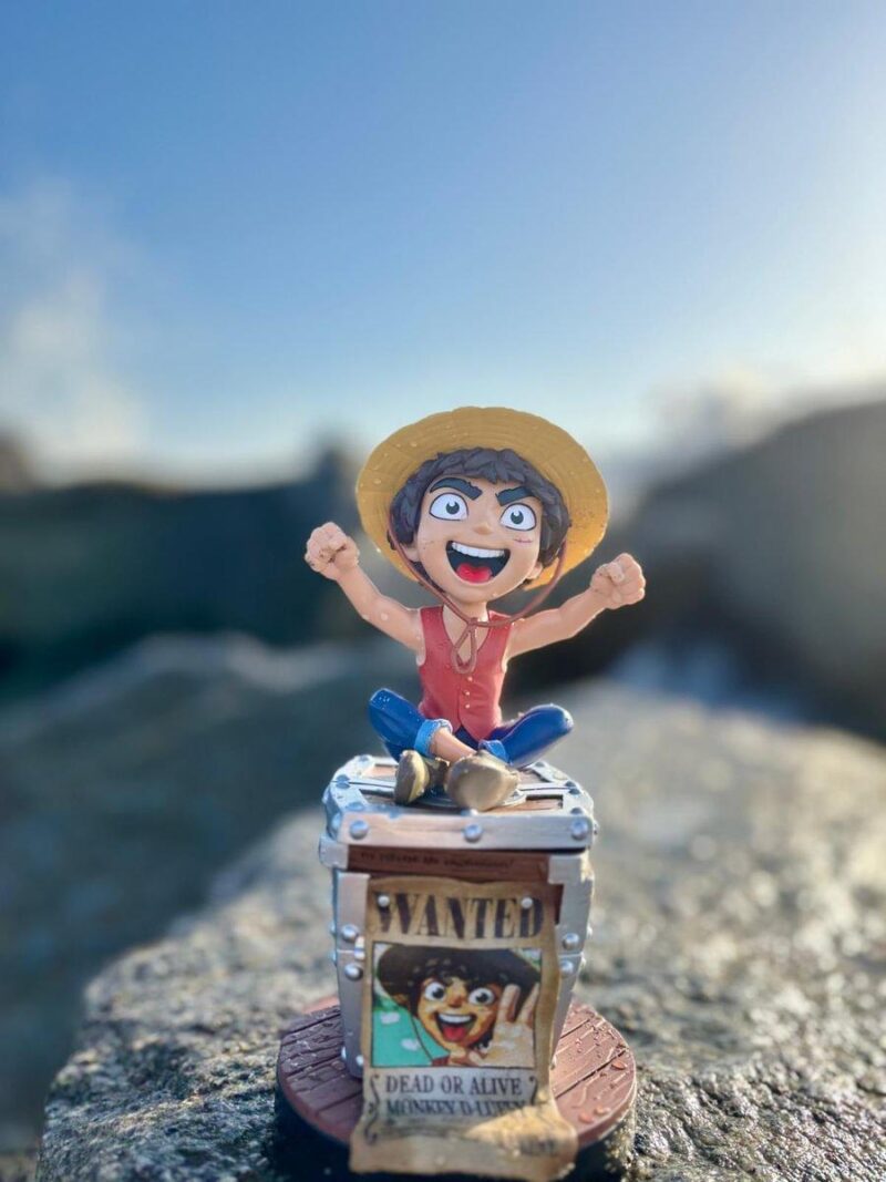 ONE PIECE NETFLIX - Luffy Wanted - Support Manette & Portable - 20cm – Image 3